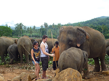 Visit Holiday Lanka tours