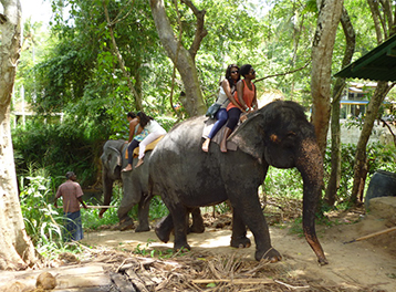 Visit Holiday Lanka tours