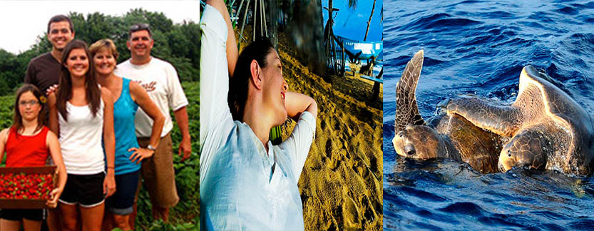 Visit Holiday Lanka tours